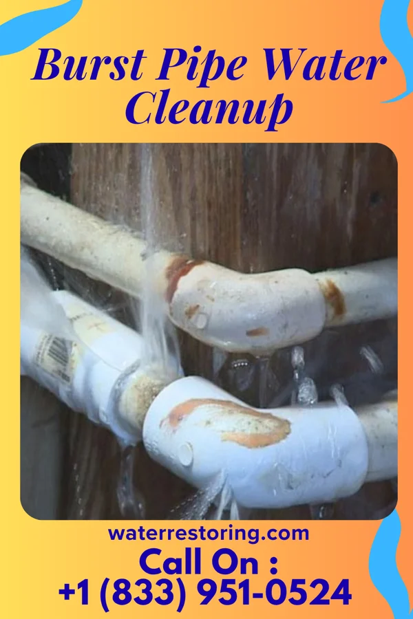 Burst Pipe Water Cleanup in Columbiana, OH