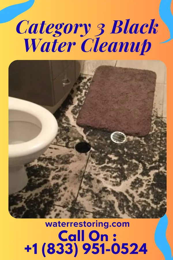 Category 3 Black Water Cleanup in Columbiana, OH