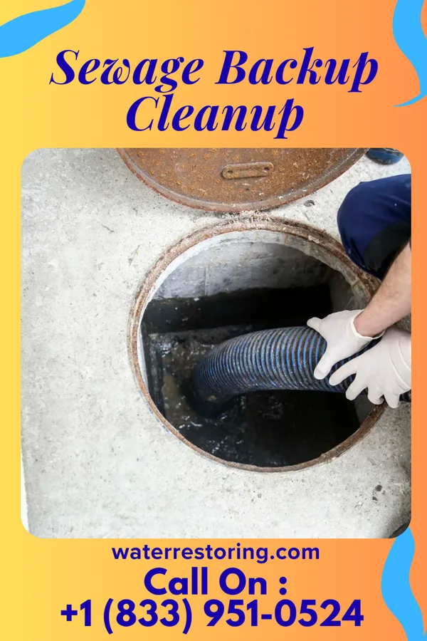 Sewage Backup Cleanup in Columbiana, OH